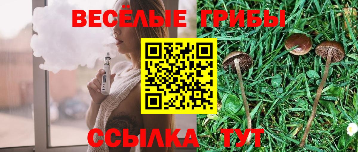 Галлюциногенные грибы мицелий  Галлюциногенные грибы Psilocybe  купить  сайты  Киреевск  Вход с VPN 