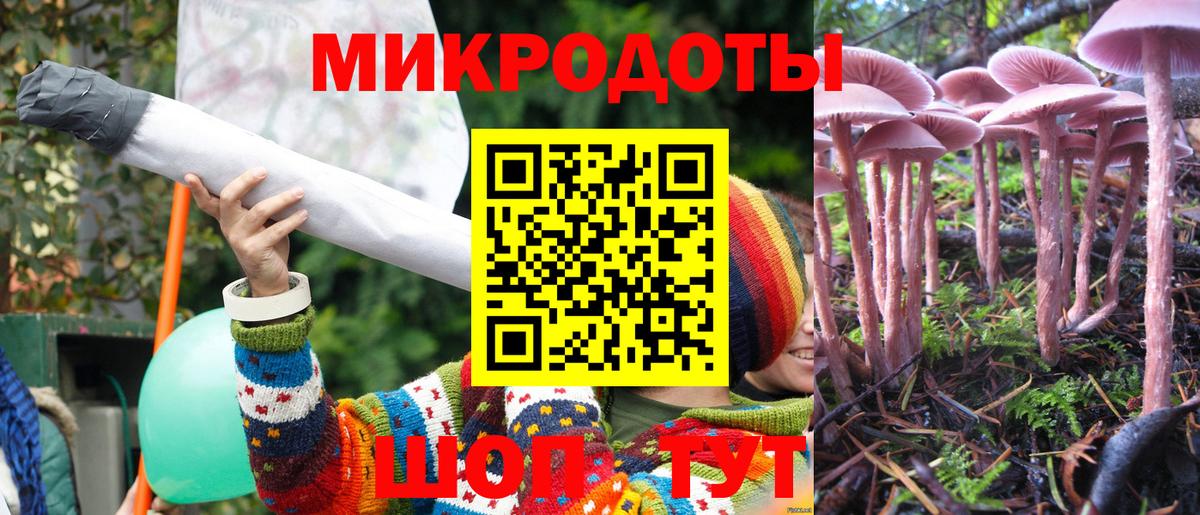 Галлюциногенные грибы Psilocybine cubensis Киреевск